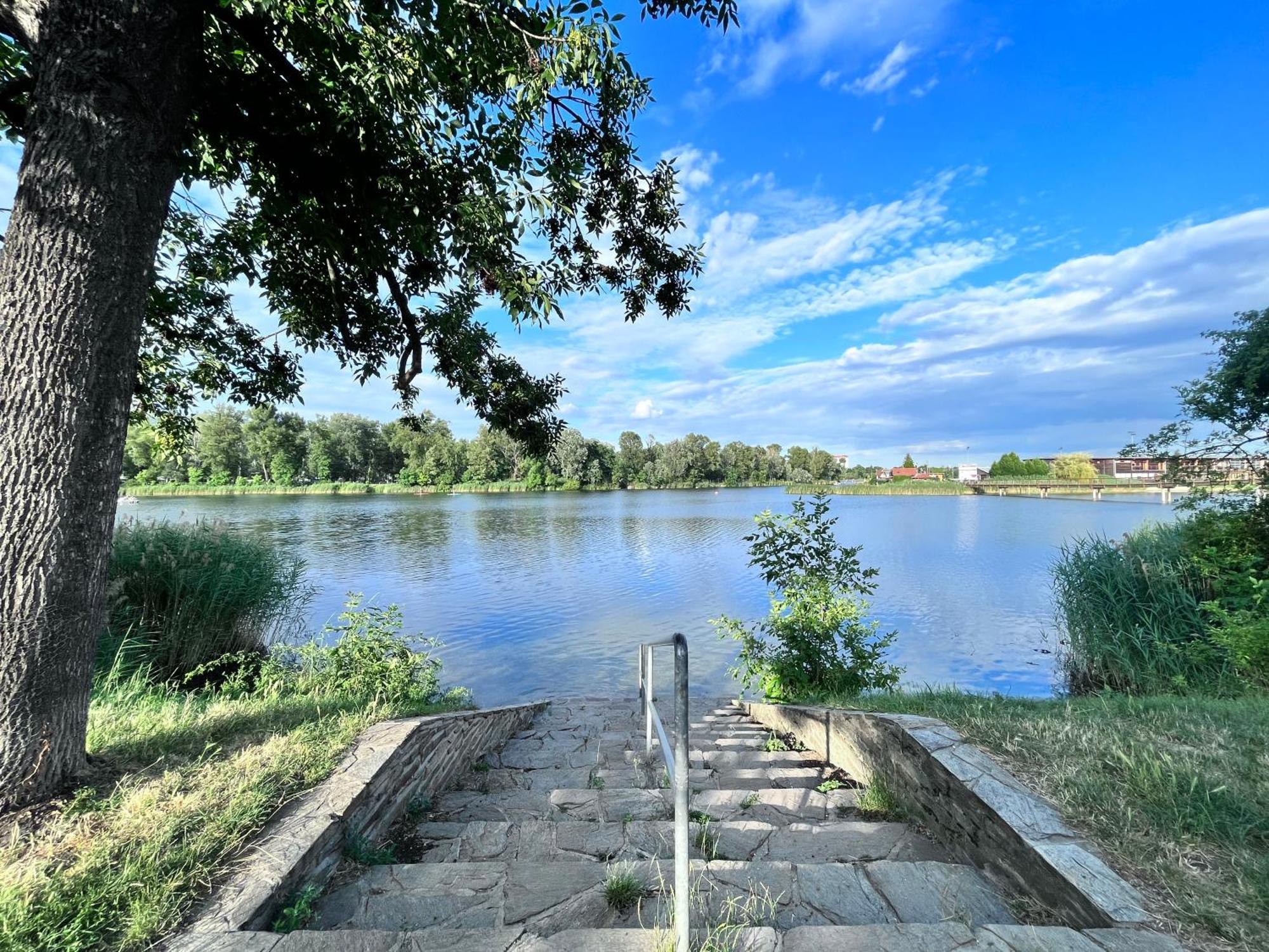 Danube22 Apartment Viyana Dış mekan fotoğraf